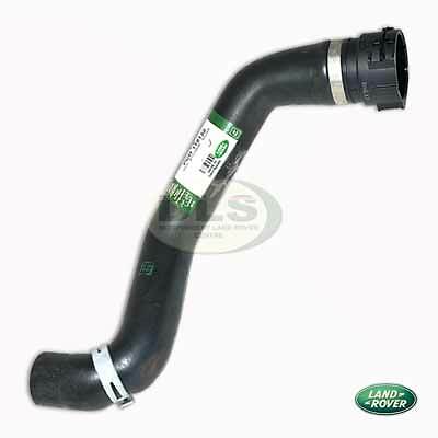 Radiator top hose - hose, td4